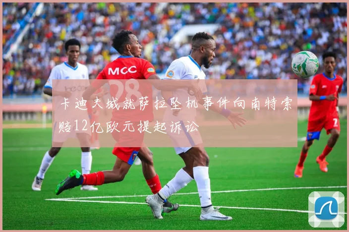 卡迪夫城就萨拉坠机事件向南特索赔12亿欧元提起诉讼