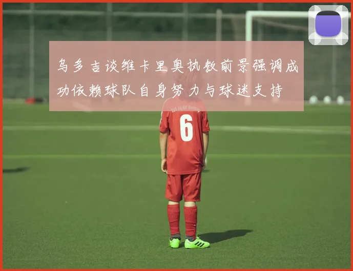 乌多吉谈维卡里奥执教前景强调成功依赖球队自身努力与球迷支持