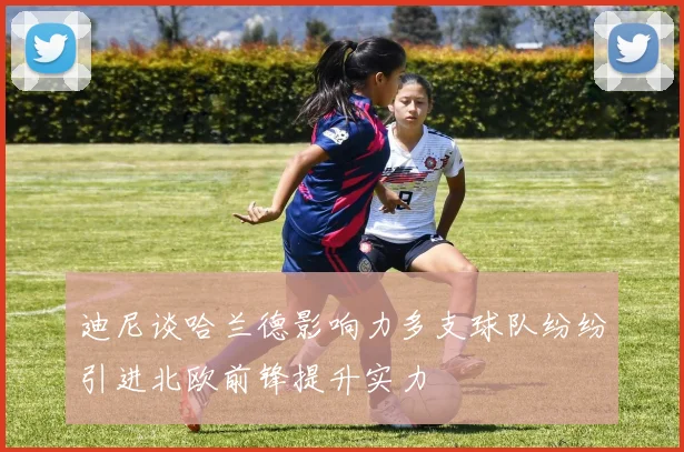 迪尼谈哈兰德影响力多支球队纷纷引进北欧前锋提升实力